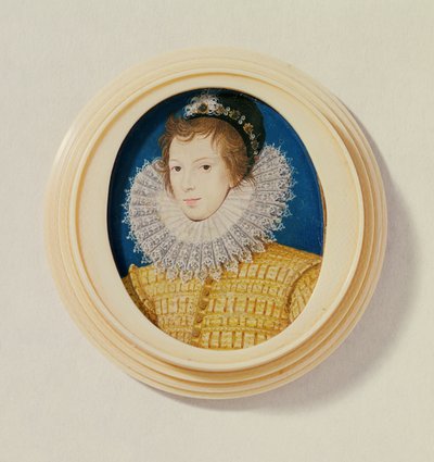 شاب باللون الأصفر مع بونيه وريشة ، c.1585-90 (مرحاض على الرق) بواسطة نيكولاس هيليارد