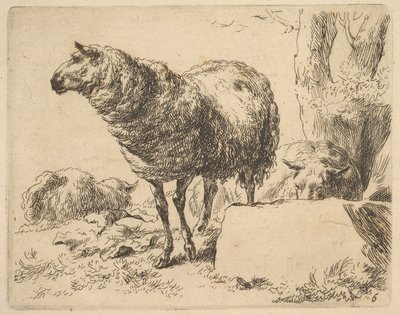 من The Set of Sheep. بواسطة نقولاس بيرشم