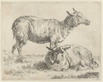 Staand en liggend schaap شابين (عنوان المسلسل) الحيوانات تنجذب إلى الحياة وتُطبع بالماء للحصول على هواء قوي بواسطة Studio and Art of Nicolai Berchem (عنوان السلسلة) بواسطة نيكولاي بيترز بيرتشيم