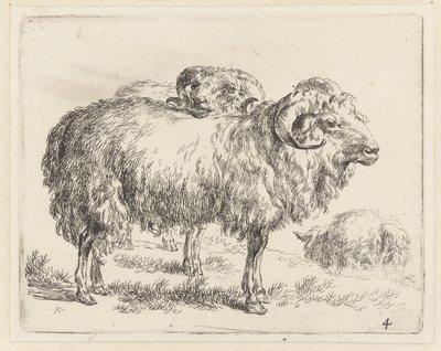 Twee rammen en een schaap شابين (عنوان المسلسل) الحيوانات تنجذب إلى الحياة وتُطبع بالماء للحصول على هواء قوي بواسطة Studio and Art of Nicolai Berchem (عنوان السلسلة) بواسطة نيكولاي بيترز بيرتشيم