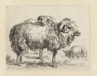 Twee rammen en een schaap شابين (عنوان المسلسل) الحيوانات تنجذب إلى الحياة وتُطبع بالماء للحصول على هواء قوي بواسطة Studio and Art of Nicolai Berchem (عنوان السلسلة) بواسطة نيكولاي بيترز بيرتشيم