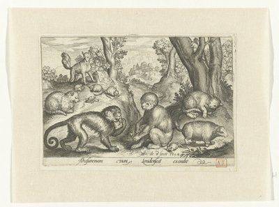 القرود والقطط والفئران Animalivm Qvadrvpedvm (عنوان المسلسل) الحيوانات في المناظر الطبيعية (عنوان السلسلة) بواسطة Assuerus van Londerseel