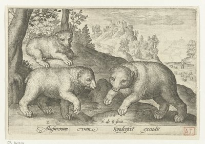 ثلاثة دببة Animalivm Qvadrvpedvm (عنوان المسلسل) الحيوانات في المناظر الطبيعية (عنوان السلسلة) بواسطة نيكولايس دي بروين