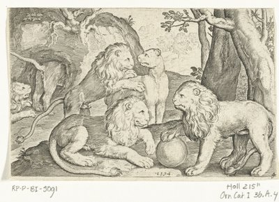 أسود Animalivm Qvadrvpedvm (عنوان المسلسل) الحيوانات في المناظر الطبيعية (عنوان السلسلة) بواسطة نيكولايس دي بروين