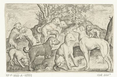 تسعة كلاب Animalivm Qvadrvpedvm (عنوان المسلسل) الحيوانات في المناظر الطبيعية (عنوان السلسلة) بواسطة كلايس جانز. فيشر (الثاني)