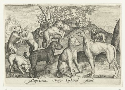تسعة كلاب Animalivm Qvadrvpedvm (عنوان المسلسل) الحيوانات في المناظر الطبيعية (عنوان السلسلة) بواسطة نيكولايس دي بروين