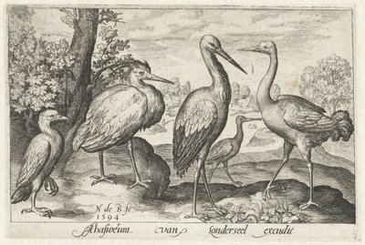 اللقلق ، الرافعة ، مالك الحزين و spoonbill الطيور والحشرات (عنوان المسلسل) بواسطة Assuerus van Londerseel