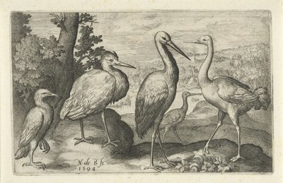 اللقلق ، الرافعة ، مالك الحزين و spoonbill الطيور والحشرات (عنوان المسلسل) بواسطة فرانكويز فان بيوسكوم