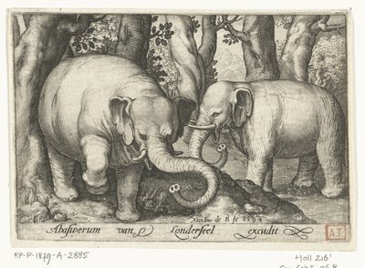 اثنان من الفيلة Animalivm Qvadrvpedvm (عنوان المسلسل) الحيوانات في المناظر الطبيعية (عنوان السلسلة) بواسطة نيكولايس دي بروين