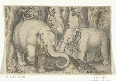 اثنان من الفيلة Animalivm Qvadrvpedvm (عنوان المسلسل) الحيوانات في المناظر الطبيعية (عنوان السلسلة) بواسطة نيكولايس دي بروين