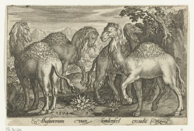 أربعة جمال Animalivm Qvadrvpedvm (عنوان المسلسل) الحيوانات في المناظر الطبيعية (عنوان السلسلة) بواسطة نيكولايس دي بروين