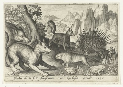 الخنزير البري والثعالب والقندس والنيص والضفادع Animalivm Qvadrvpedvm (عنوان المسلسل) الحيوانات في المناظر الطبيعية (عنوان السلسلة) بواسطة Assuerus van Londerseel