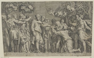 بشير قديم بواسطة Polidoro da Caravaggio