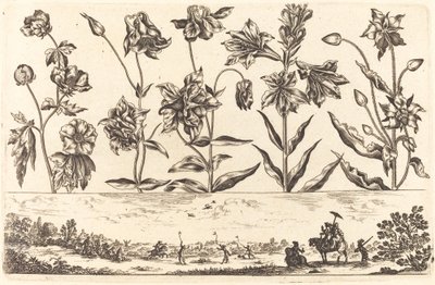 طباعة زهرة رقم 6 بواسطة نيكولاس كوشين بعد Balthasar Moncornet