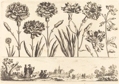 طباعة زهرة رقم 9 بواسطة نيكولاس كوشين بعد Balthasar Moncornet