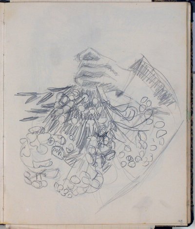 ذراع HC Andersen الأيمن. رسم تخطيطي لـ "Meadow by Nysø" (Odense) بواسطة نيلز لارسن ستيفنز