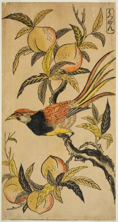 الدراج الفضي (هكان) بواسطة Nishimura Shigenaga