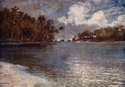 بواسطة Reef and Palm (لون litho) بواسطة نورمان هاردي