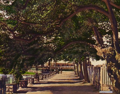 Stavenger: Kongsgaardveien (الصورة) بواسطة مصور نرويجي