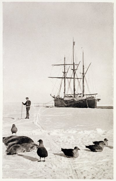  بواسطة المدرسة النرويجية