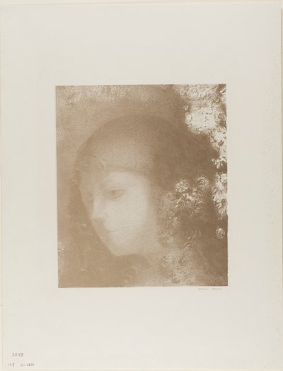 بواسطة Odilon Redon
