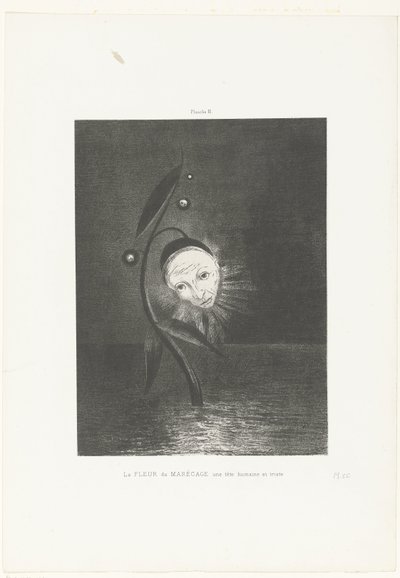 زهرة المستنقع ، رأس بشري حزين La FLEUR du MARÉCAGE une tête humaine et triste (العنوان على الكائن) بواسطة Odilon Redon