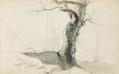 رسم من ألبوم بعنوان "بلاد الباسك" ، 1862-1863 بواسطة Odilon Redon