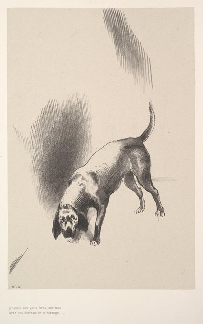 ثبت عينيه عليّ بتعبير غريب للغاية ، 1896. بواسطة Odilon Redon