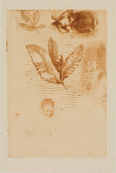 اسكتشات بواسطة Odilon Redon