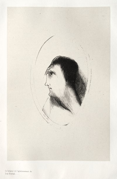 البيت المسكون: عرض واستقامة [العظم] الجبهي ، 1896. بواسطة Odilon Redon