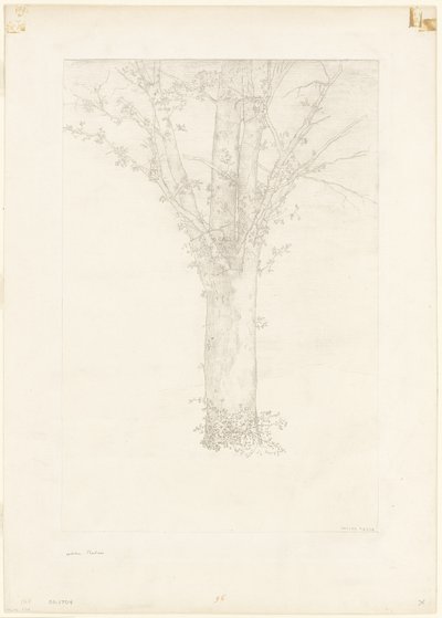 شجرة بواسطة Odilon Redon