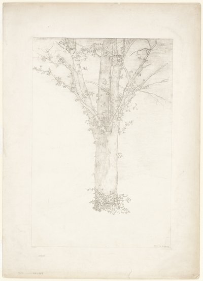 شجرة بواسطة Odilon Redon