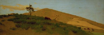 المراعي بواسطة Odoardo Borrani