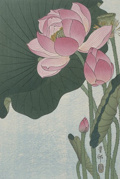 زهور اللوتس المزهرة ، 1920-30 (قطع خشبية ملونة) بواسطة Ohara Koson