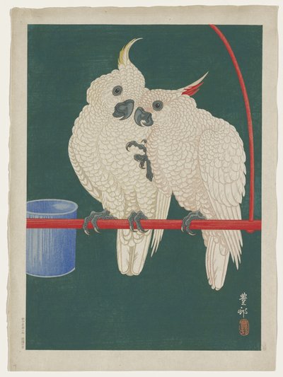 Cockatoos بواسطة اوهارا كوسون