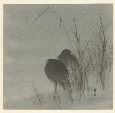 اثنين من الغرس بين القصب بواسطة Okuhara Seiko