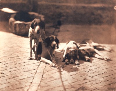 كلاب الصيد، حوالي عام 1853 (طبعة ملحية) بواسطة أوليمب أغوادو