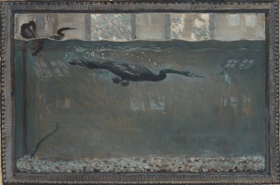 الغاق الغاطس ، 1900. بواسطة أوتو هـ