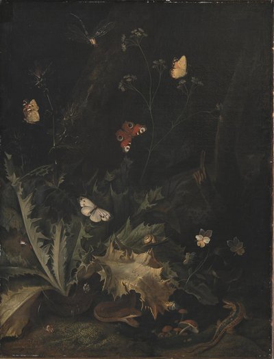 أرضية غابة بها شوك ، ثعبان ، سحلية وفراشات بواسطة Otto Marseus  van Schrieck