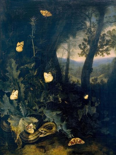 أرضية الغابة مع الشوك والأفعى بواسطة أوتو مارسيوس فان شريك