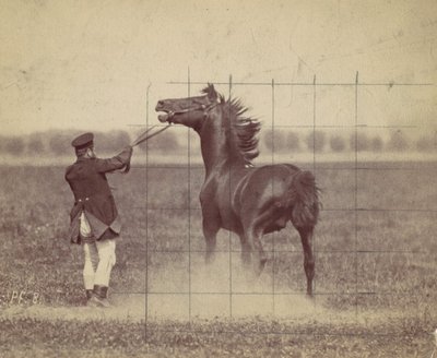 الحصان ، 1884. بواسطة Ottomar Anschütz