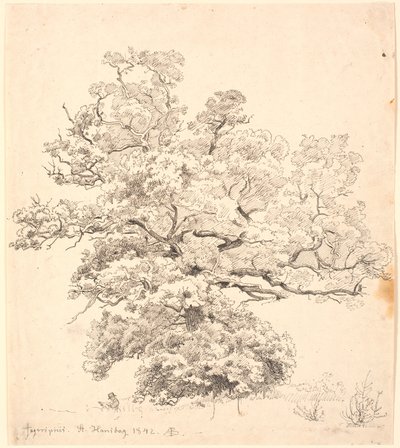 شجرة بلوط كبيرة يجلس تحتها رجل يرسم. بواسطة PC Skovgaard
