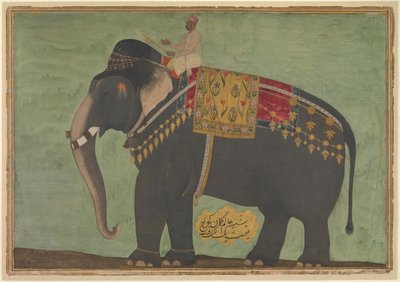 صورة للفيل علم جومان ، كاليفورنيا. 1640. بواسطة اللوحة المنسوبة إلى بشيتر
