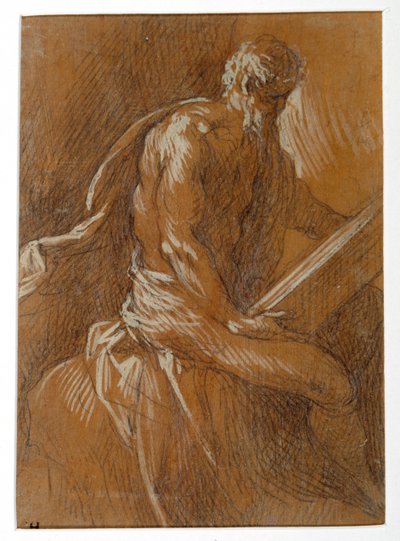 A saint reading (black chalk heightened with white body colour on boxwood coated with gum) بواسطة بالما إل جيوفان
