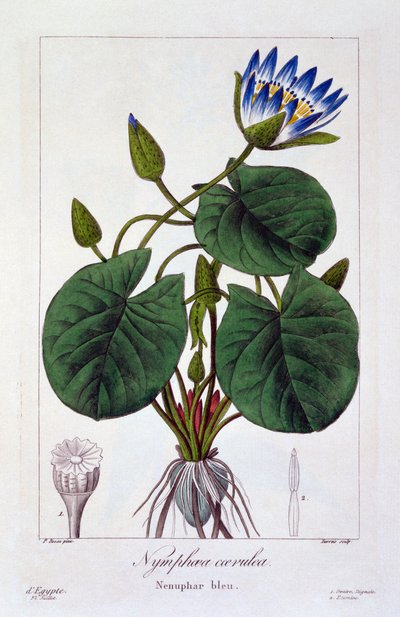 الحوريات الزرقاء ، حانة. 1836 بواسطة باناكري بيسا