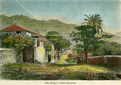 شارع في روسو ، دومينيكا ، حوالي عام 1880. بواسطة خلل