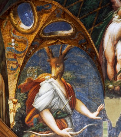 Actaeon turned into stag by Diana, detail of the Diane and Acteon hall بواسطة بارميجيانينو