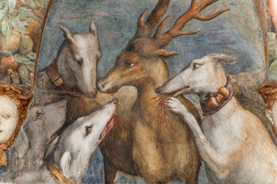 Actaeon ، الذي تحول إلى أيل ، يأكله كلابه ، من غرفة Diana و Actaeon ، الجدار الشمالي ، تفاصيل 2384753 بواسطة بارميجيانينو