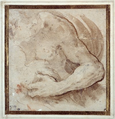 Study of the left arm, chest and head of a bearded man (pen & brown ink with red chalk on cream paper) بواسطة بارميجيانينو