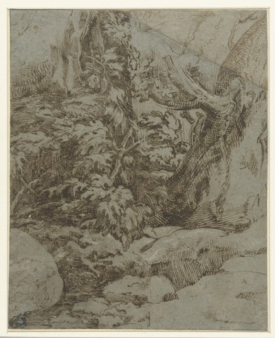 دراسة المناظر الطبيعية بواسطة Parmigianino